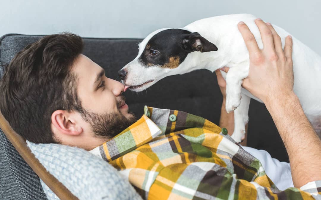 Should I let my dog lick my face?