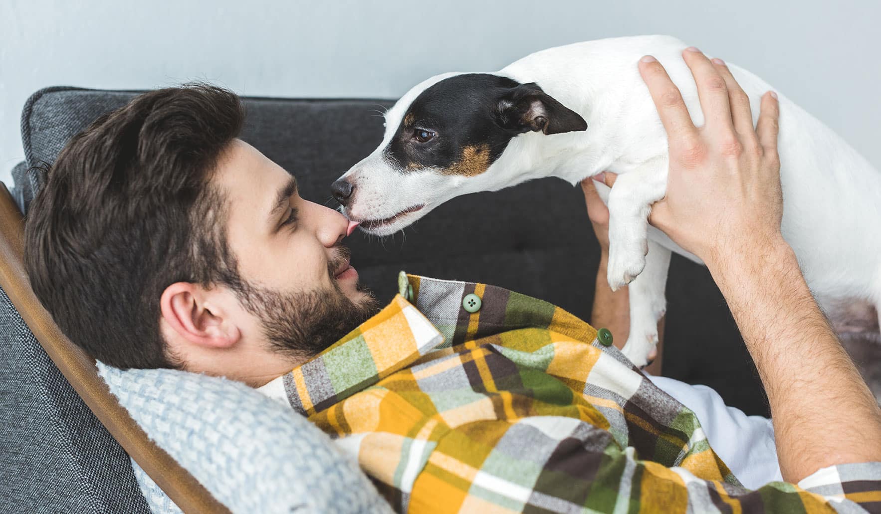 ¿debo Dejar Que Mi Perro Me Lama La Cara Mimma